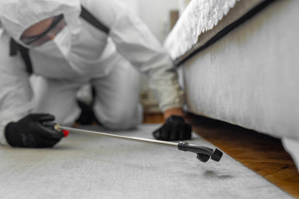 Professional Bed Bug Control technician working in Portland, MI