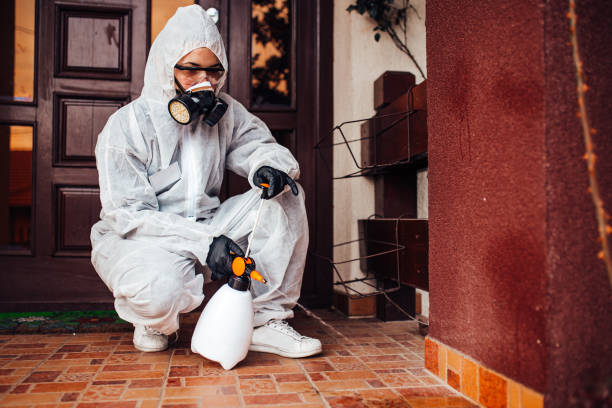 Reliable Bed Bug Control contractor in Portland, MI by Nex Pest Control