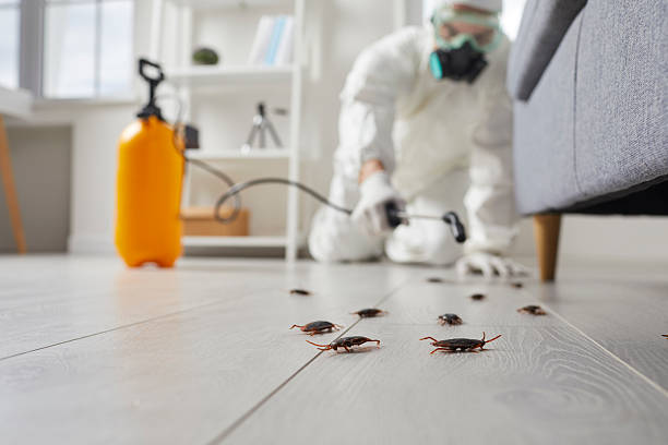 Trusted Cockroach Control service in Portland, MI - Nex Pest Control