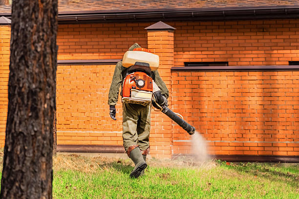 Trusted Termite Control service in Portland, MI - Nex Pest Control